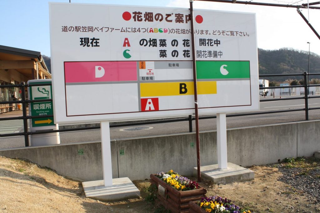 花畑看板と菜の花開花状況 | 道の駅笠岡ベイファーム