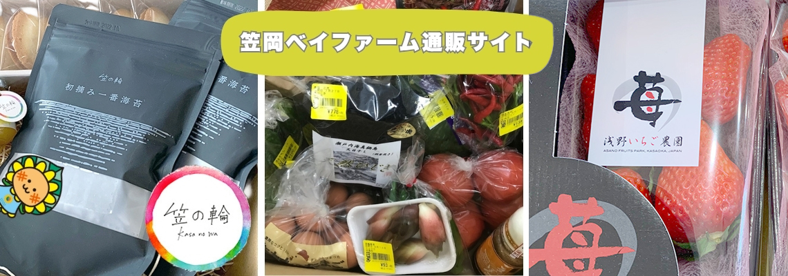 道の駅 APPROVED – 1